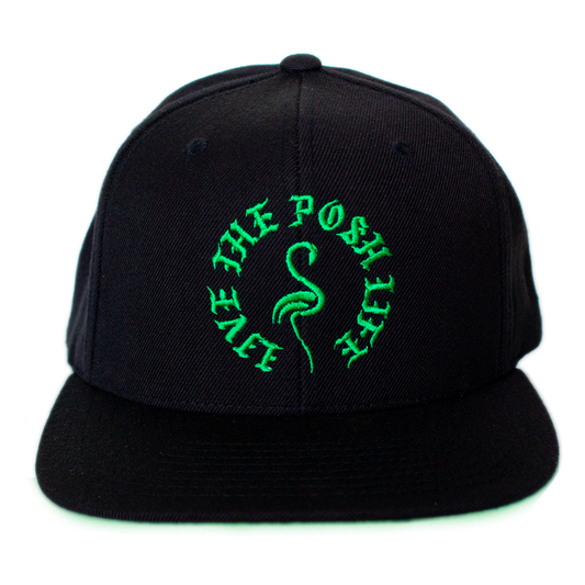 Black & Green Snapback